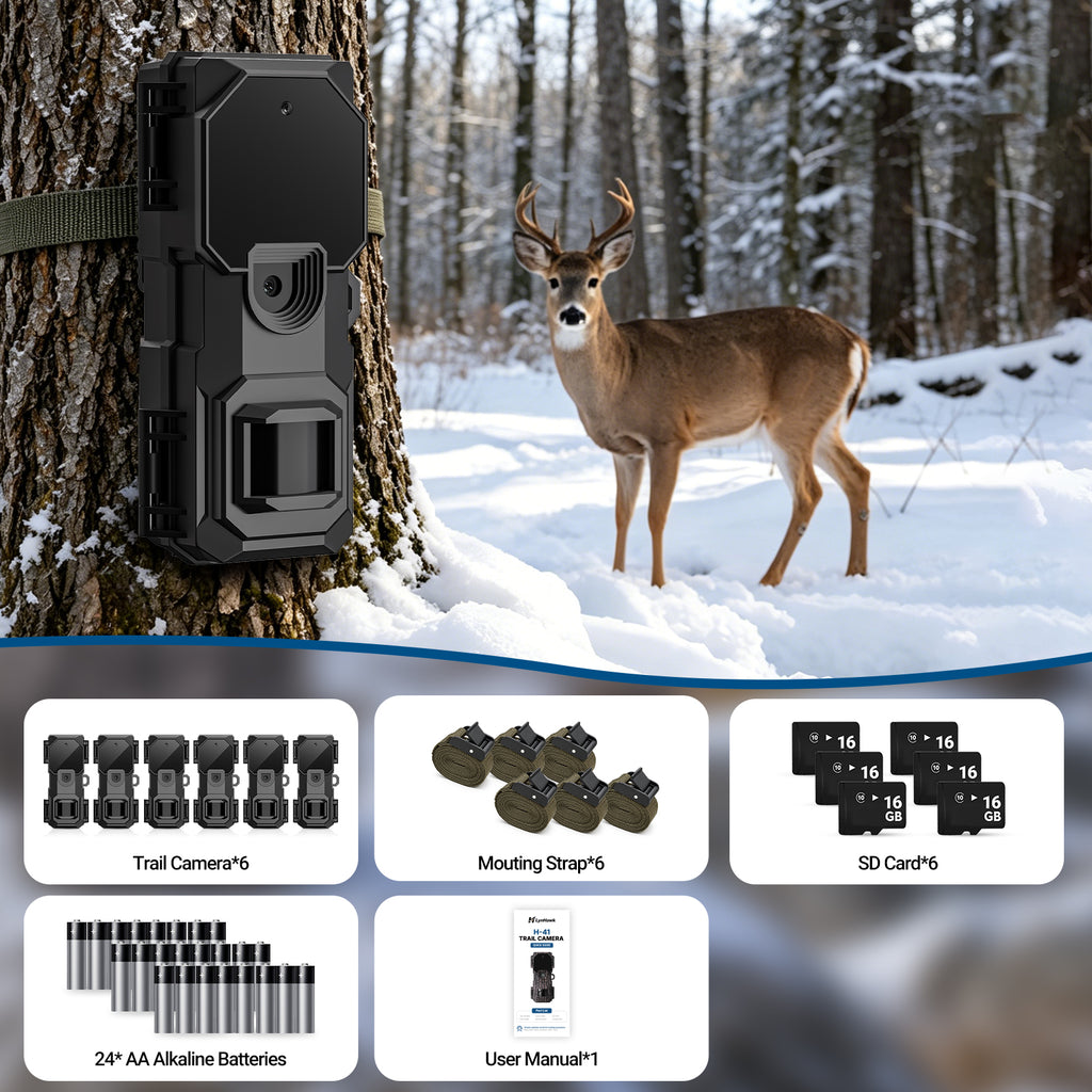 LynHawk 36MP 2K Mini Trail Camera with Secure Mounting, Black, 6 Pack