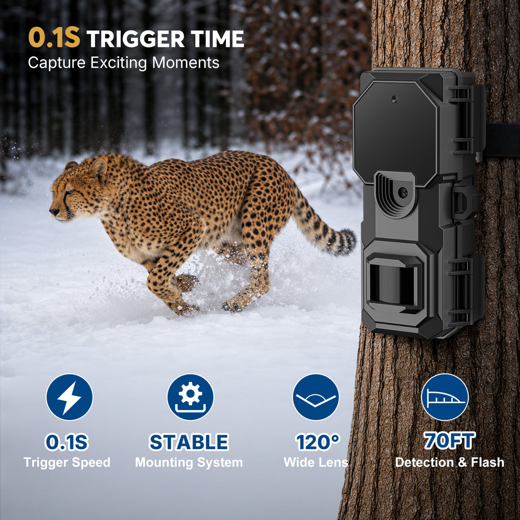 LynHawk 36MP 2K Mini Trail Camera with Secure Mounting, Black, 1 Pack
